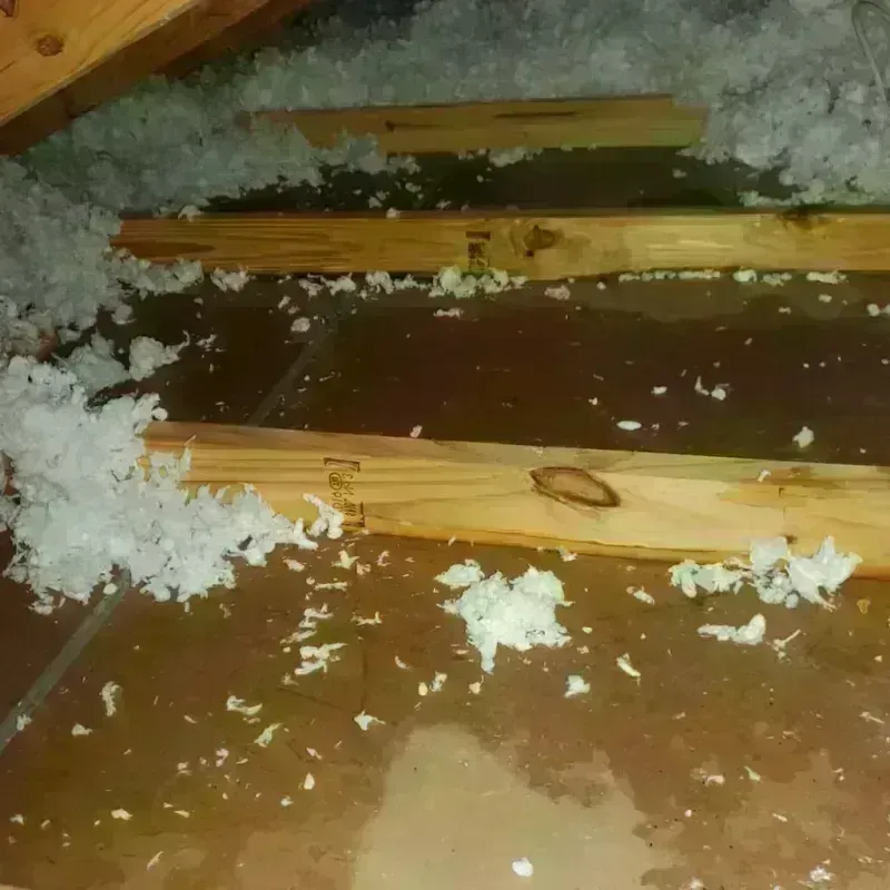 Attic Water Damage in Cordova, AK