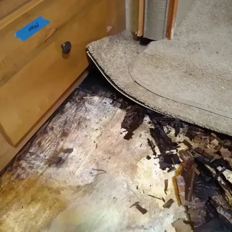 Wood Floor Water Damage in Cordova, AK